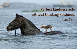 5.acts-without-thinking-kindness-picture-quotes